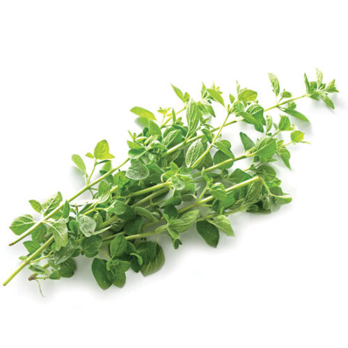 7 Easy Perennials to Grow